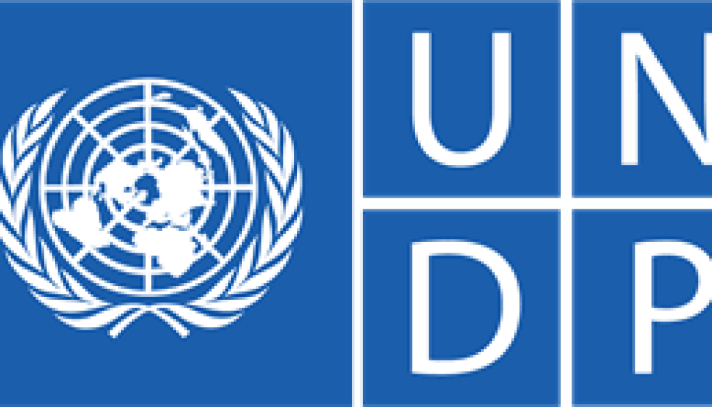 Philanthropy Partnerships Manager Europe Vacancy-Job Ref: EJBEUNDP/2005/2025805